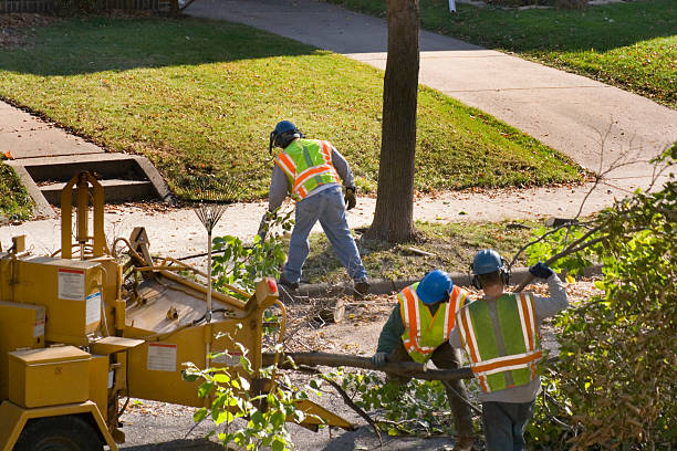 Tree Removal for Businesses in Leesport, PA